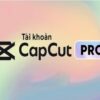cap cut pro